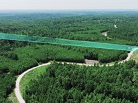 7.7 Acres, Power & Fiber Internet : Dover : Stewart County : Tennessee