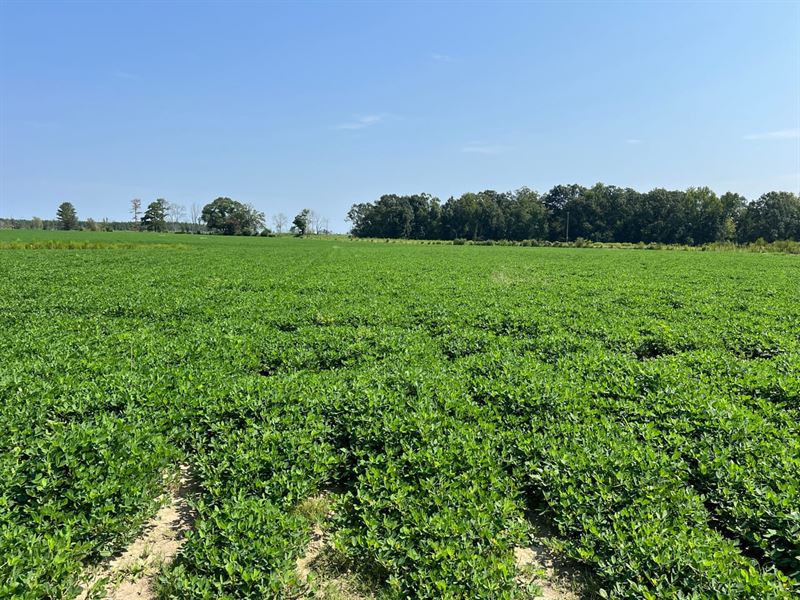 G6 Farms-Tract 1 : Troy : Pike County : Alabama