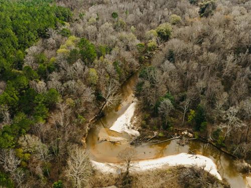 194 Acres in Newton County, MS : Hickory : Newton County : Mississippi