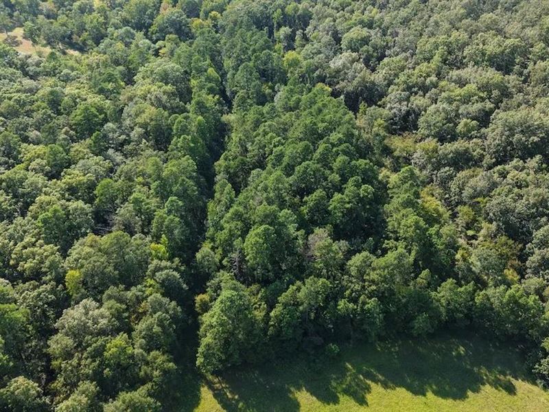 9.86 Acres in Polk County, AR : Mena : Polk County : Arkansas