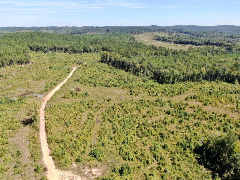 Gabriel Creek 65 : Moundville : Hale County : Alabama