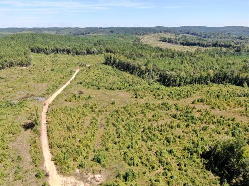 Gabriel Creek 65 : Moundville : Hale County : Alabama