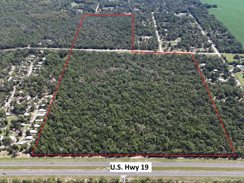69 Acres in Inglis, FL : Inglis : Levy County : Florida