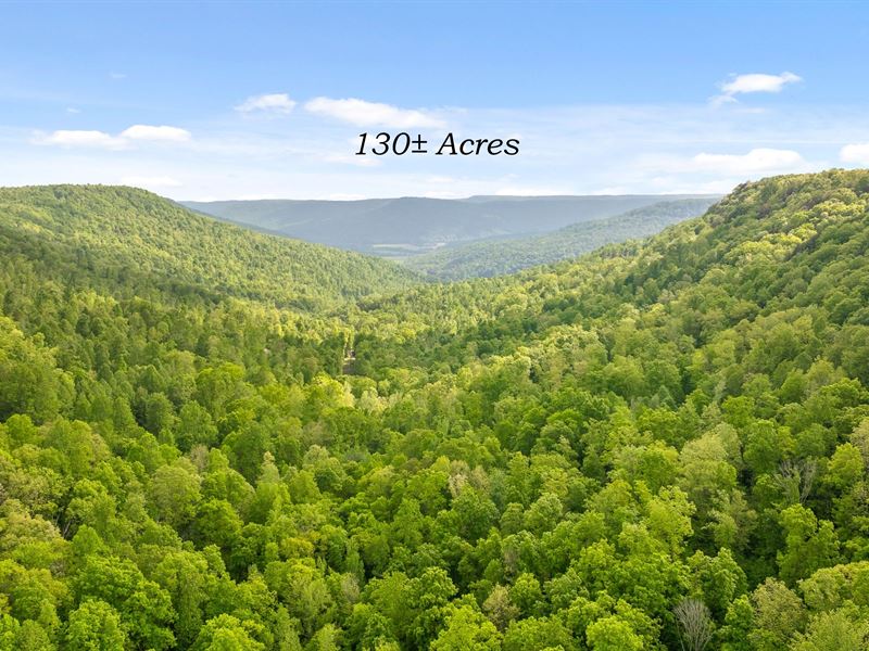 Escape to 130+/- Acres in East TN : South Pittsburg : Marion County : Tennessee