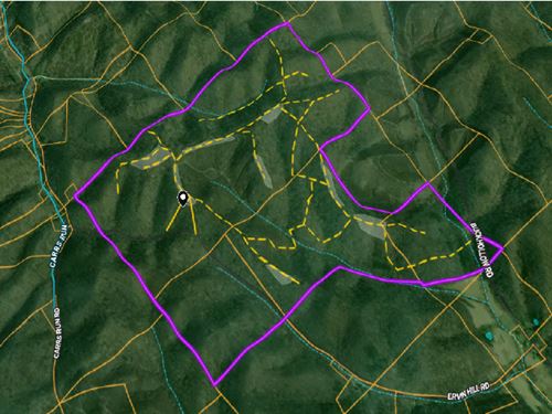517 Acres in Pike City, Ohio : Beaver : Pike County : Ohio
