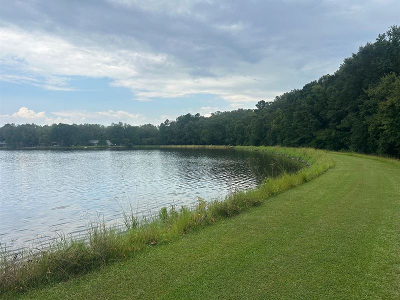 11.6 Acres in Hinds County, MS : Terry : Hinds County : Mississippi