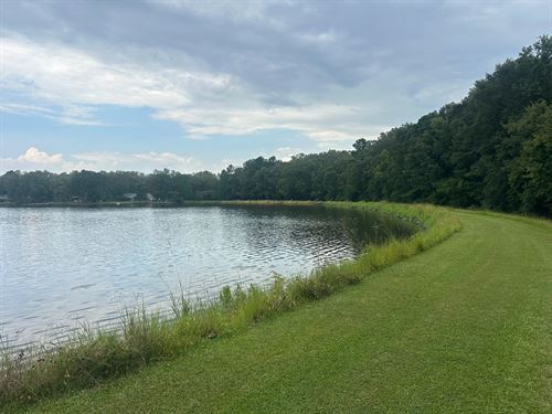 11.6 Acres in Hinds County, MS : Terry : Hinds County : Mississippi