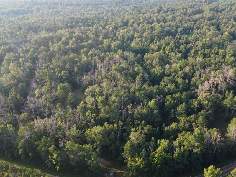 5.46 Acres in Copiah County, MS : Crystal Springs : Copiah County : Mississippi