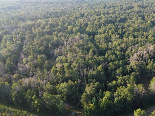 6.53 Acres in Copiah County, MS : Crystal Springs : Copiah County : Mississippi