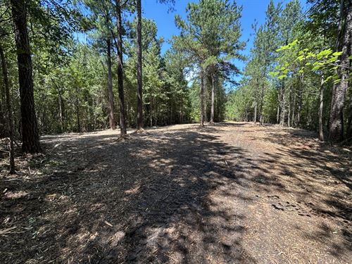 Quiet Rural Homesite : Musella : Crawford County : Georgia