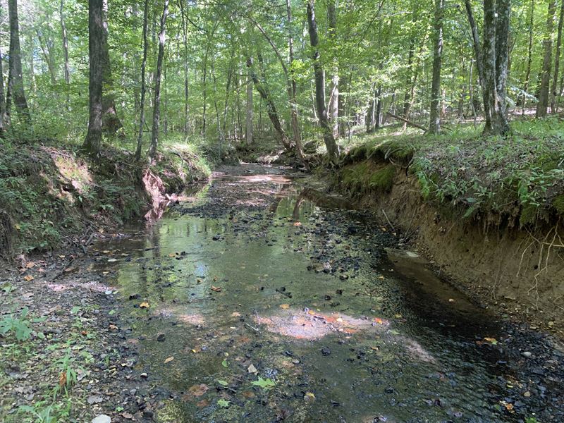 Land with Creek and Hardwoods : Savannah : Hardin County : Tennessee