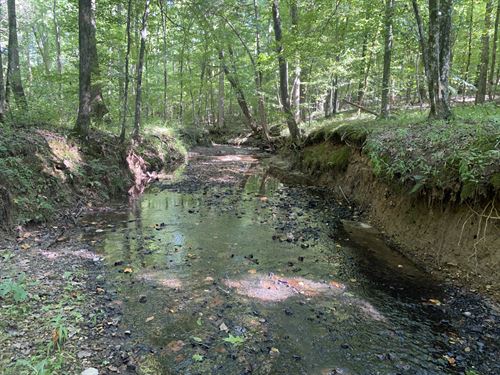 Land with Creek and Hardwoods : Savannah : Hardin County : Tennessee