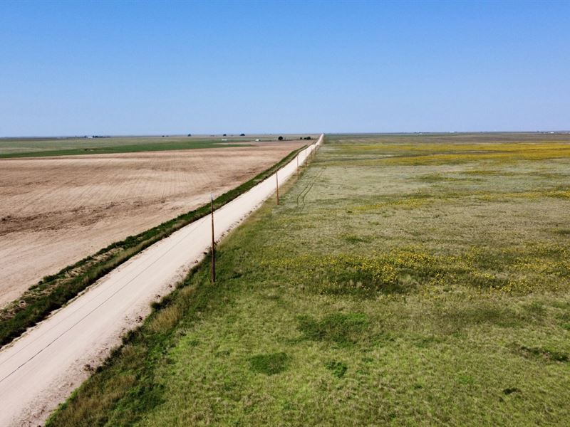 Matheson Farm or Graze 320 : Matheson : Elbert County : Colorado