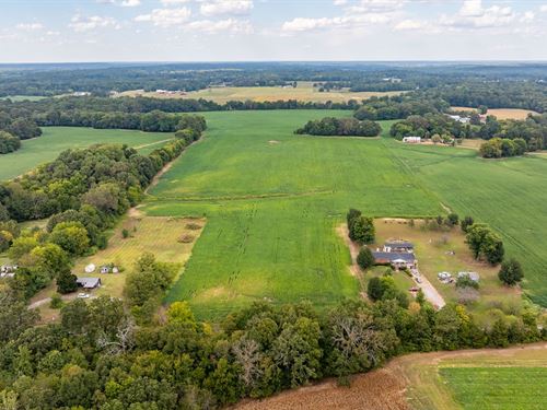 Exceptional Opportunity : Dexter : Calloway County : Kentucky