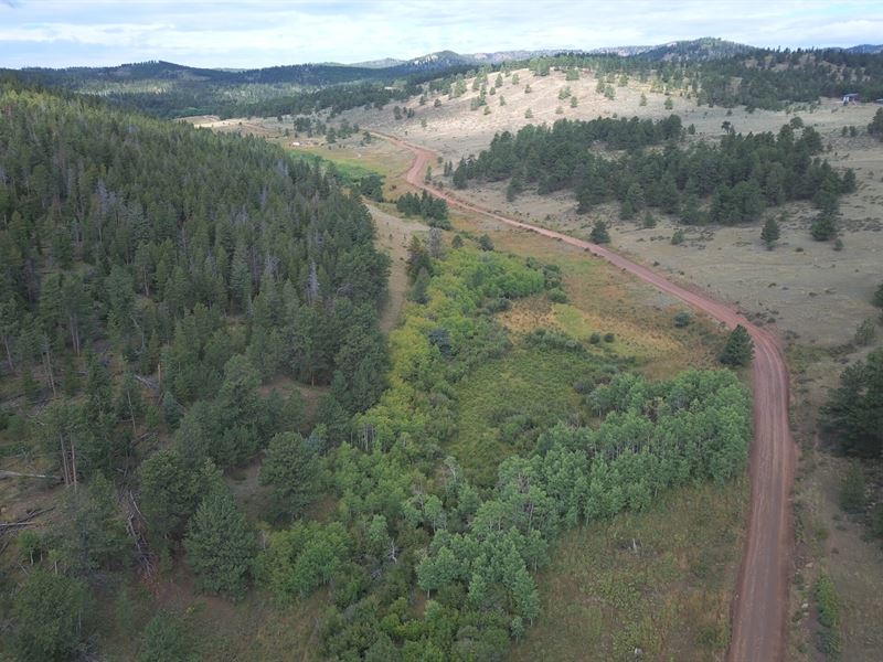 County Road 80C : Livermore : Larimer County : Colorado