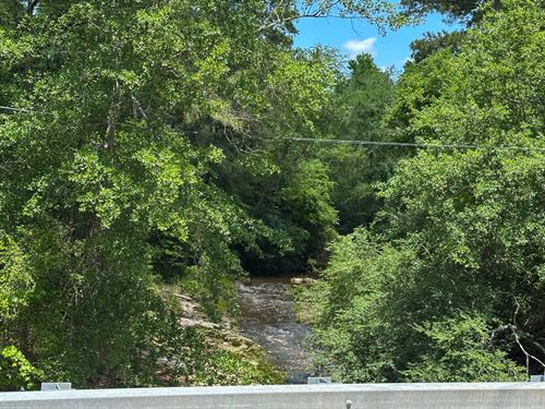 60 Acres, T-23, Highway 94 : Groveton : Trinity County : Texas