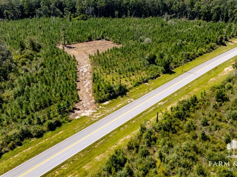 22.34 Ac, Decon Road Middle : Bonifay : Holmes County : Florida