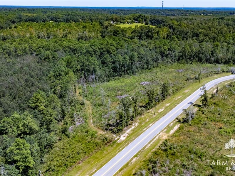 22.03 Ac Decon Road East : Bonifay : Holmes County : Florida
