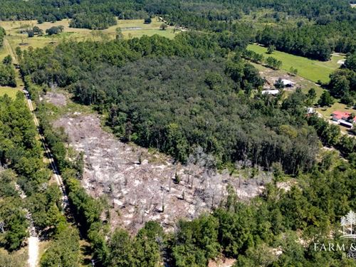 22.15 Ac Recreational & Timber Tr : Bonifay : Holmes County : Florida