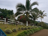 Beautiful 13.3 Acre Farm : San Jose : Costa Rica