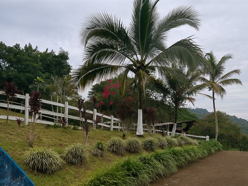 Beautiful 13.3 Acre Farm : San Jose : Costa Rica