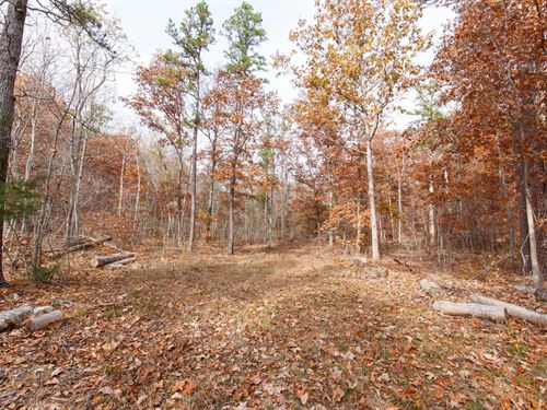 Beautiful Off Grid Property $499 dn : Ellington : Reynolds County : Missouri