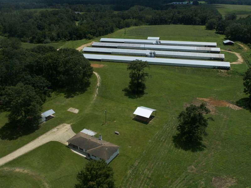Beelieve Farms 4 House Broiler : Foxworth : Marion County : Mississippi