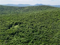 Hall Brook Headwaters : Lunenburg : Essex County : Vermont