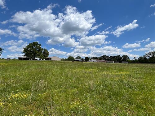 Southern Missouri Farm for Sale : Thayer : Oregon County : Missouri