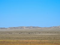 Big Valley Ranch : Torrington : Goshen County : Wyoming