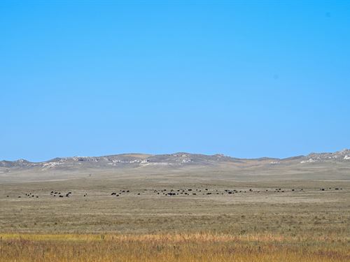Big Valley Ranch : Torrington : Goshen County : Wyoming