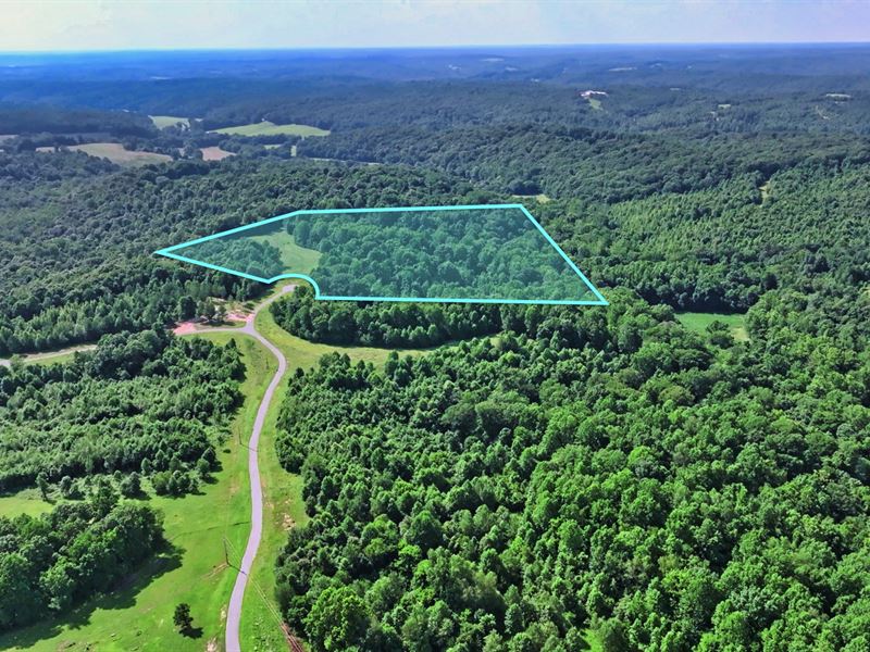22.3 Acres w Power & Fiber Internet : Indian Mound : Stewart County : Tennessee
