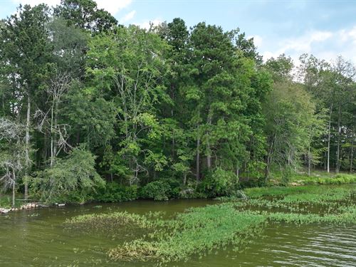 7 Acre + Waterfront Access Lot : Ashville : Saint Clair County : Alabama