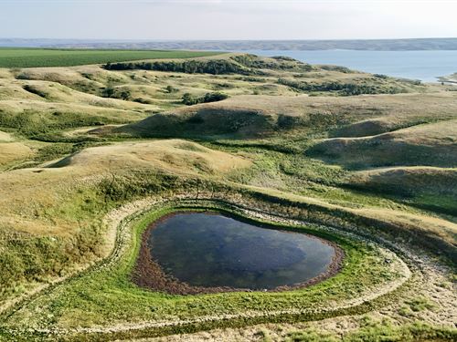 Oahe Game Haven : Agar : Potter County : South Dakota
