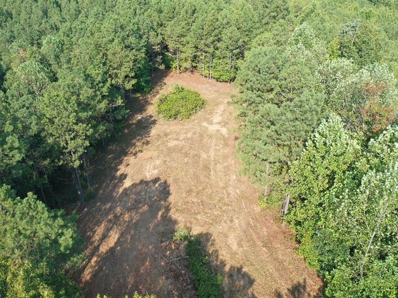 79.1 Acres Greenwood Springs, MS : Greenwood Springs : Monroe County : Mississippi