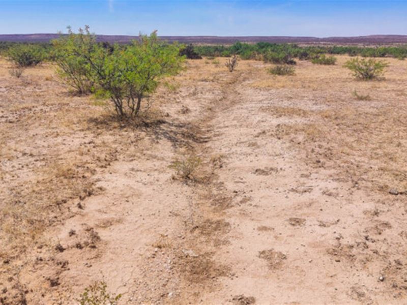 5.14 Acres Near El Paso Going Fast : Sierra Blanca : Hudspeth County : Texas
