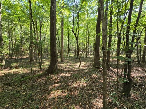 Pickens County Alabama : Gordo : Pickens County : Alabama