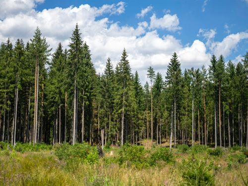 18 Ac Bayou Cumbest Rd, Moss Point : Moss Point : Jackson County : Mississippi