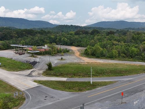 Development Acreage on I-59 : Valley Head : Dekalb County : Alabama