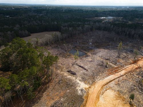 5 Acres in Jones County, MS : Laurel : Jones County : Mississippi