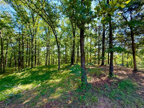 15 Acres in Brierfield : Brierfield : Bibb County : Alabama