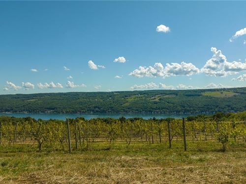 5 Acre Homesite, Panoramic Views : Urbana : Steuben County : New York