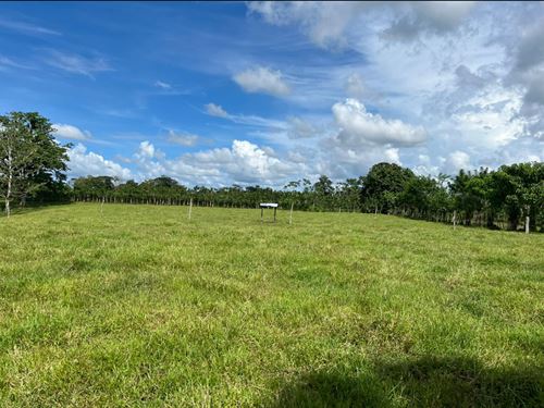 Costa Rica Farm 69 Acres : Limon : Costa Rica