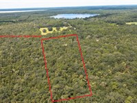 Gorgeous 20 Acre Property A-741 : Hawtho : Alachua County : Florida