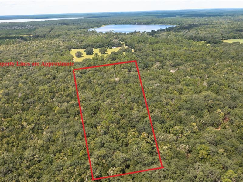 Gorgeous 20 Acre Property A-741 : Hawtho : Alachua County : Florida