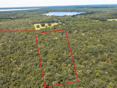Gorgeous 20 Acre Property A-741 : Hawtho : Alachua County : Florida