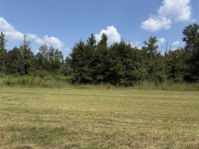 9.14 Acres in Gloster, MS : Gloster : Amite County : Mississippi