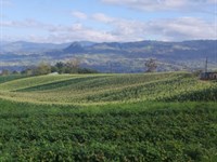48 Acre Turrialba Mountain Farm : Turrialba : Costa Rica