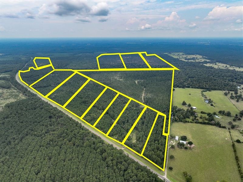 18 Acres, T-36, Highway 94, 4552 : Groveton : Trinity County : Texas