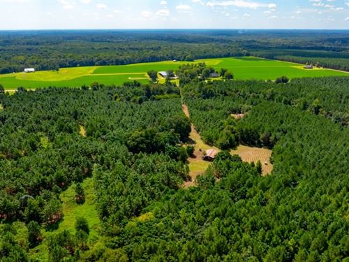 Horse Branch : Dudley : Laurens County : Georgia